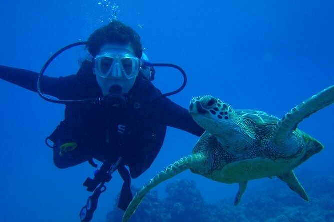 Discover Scuba Diving & Beach Club with Transportation In Riviera Maya - Who can participate, and who should choose something else