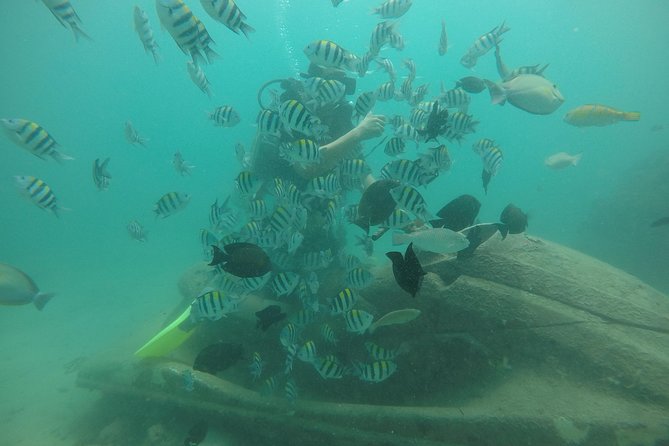 Discover Scuba Diving ( beginners) Combined With Jet Ski - What this Nusa Dua water adventure is really like