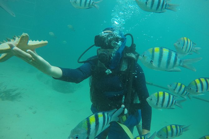 Discover Scuba Diving ( beginners) Combined With Jet Ski - The scuba session for first-timers