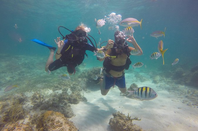 Discover Scuba Diving - DSD - Planning the day without losing your beach time