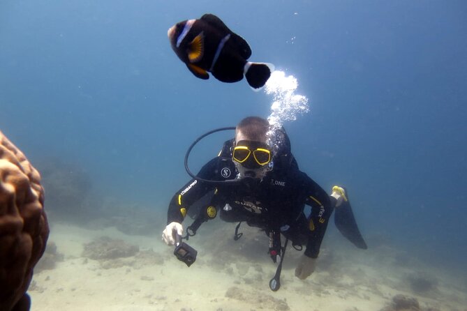 Discover Scuba Diving Experience - Why the three-hour schedule works
