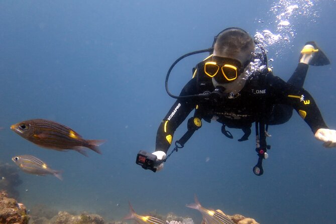 Discover Scuba Diving Experience - The value of $130 per person