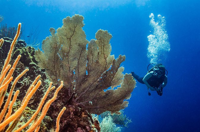 Discover Scuba Diving Experience - Health rules you should take seriously