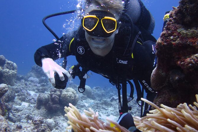 Discover Scuba Diving Experience- Bel Ombre - Preparing the equipment before entering the water