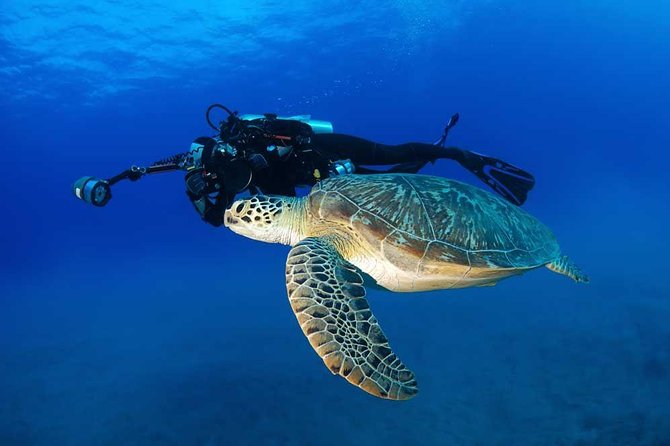 DISCOVER Scuba Diving Experience in Honolulu - The second reef session, where the outing opens up
