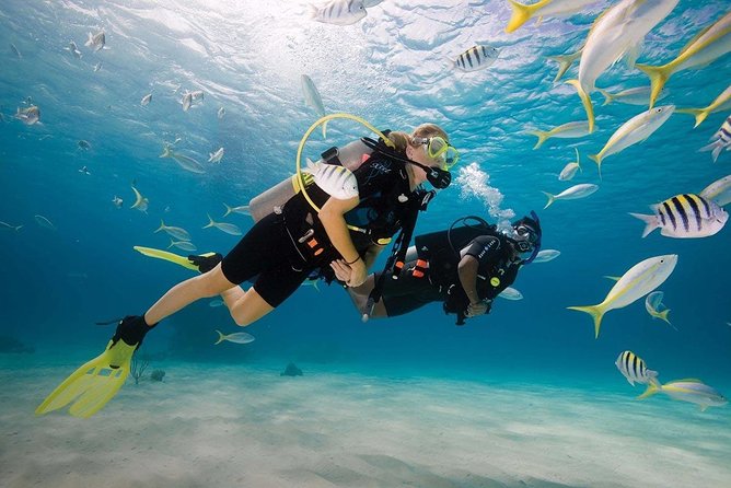 Discover Scuba Diving Experience - The 15-minute online lesson