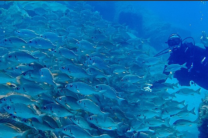 Discover Scuba Diving . First Experience underwater - Why the Small Group Matters