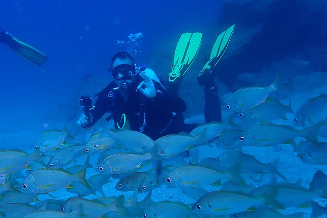 Discover Scuba Diving . First Experience underwater - Is $113.84 Good Value?