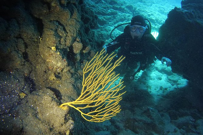 DISCOVER SCUBA DIVING - First step to your certification - Key points at a glance