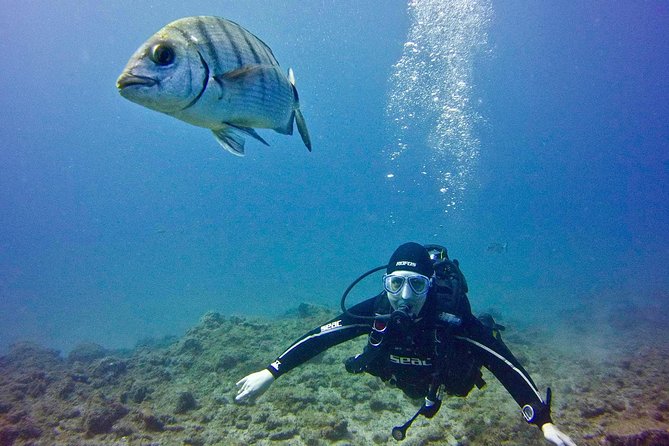 DISCOVER SCUBA DIVING - First step to your certification - What the three-hour schedule is likely to feel like