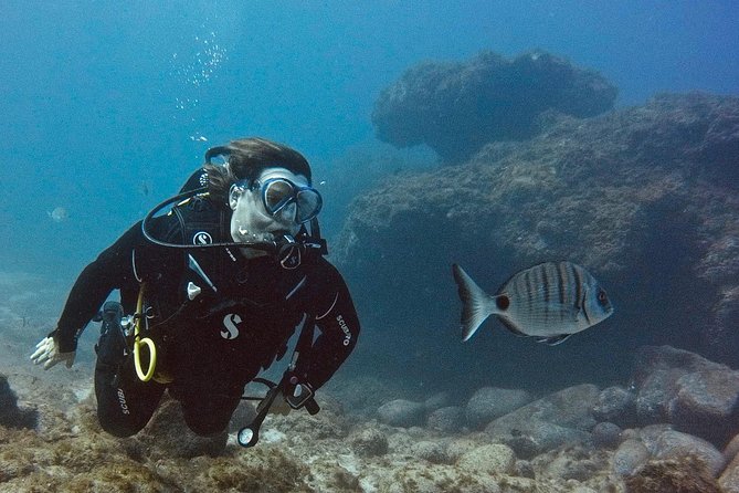DISCOVER SCUBA DIVING - First step to your certification - Why the PADI credit matters