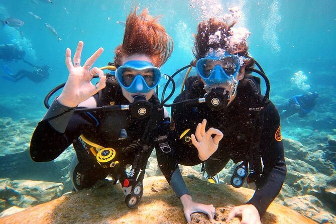 Discover Scuba Diving for Beginners - Key points to know before you book