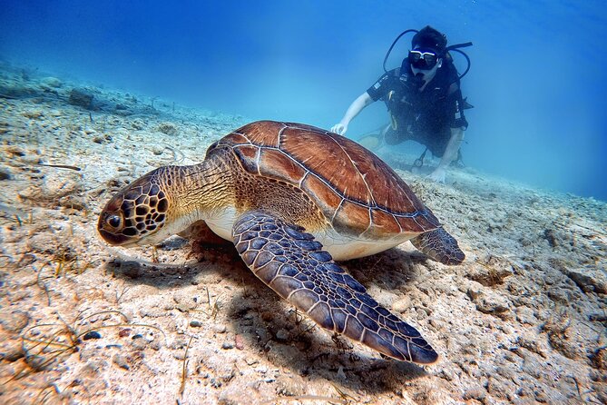 Discover Scuba Diving for Beginners - Why Green Bay works for a first scuba session