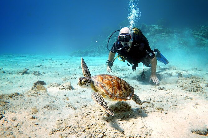 Discover Scuba Diving for Beginners - What Dave and Anna add to the day