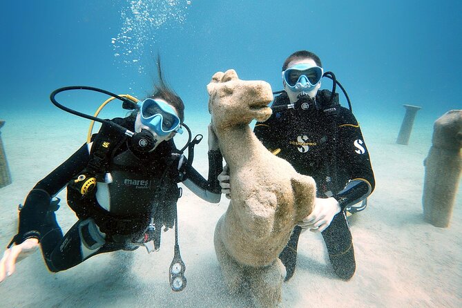 Discover Scuba Diving for Beginners - Is $101.27 a fair price?