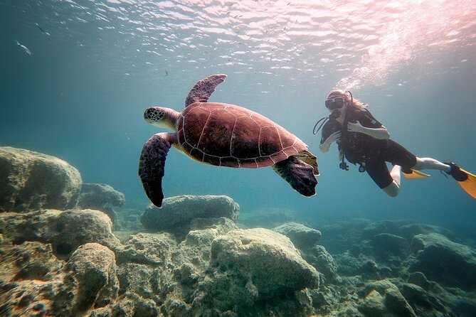 Discover Scuba Diving for Beginners - Pickup or meeting at the center