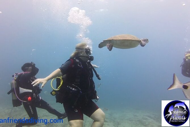 Discover Scuba Diving, free pictures included - The instructor’s role matters most for beginners