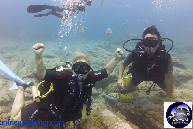Discover Scuba Diving, free pictures included - Equipment, insurance, and what the price covers
