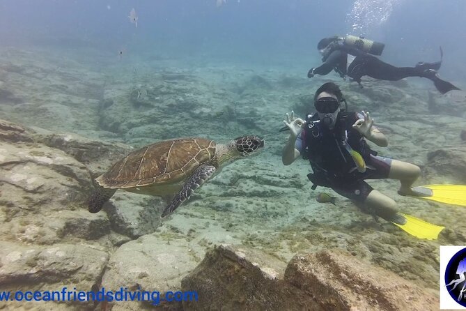 Discover Scuba Diving, free pictures included - Meeting in Las Galletas and transport from Los Abrigos