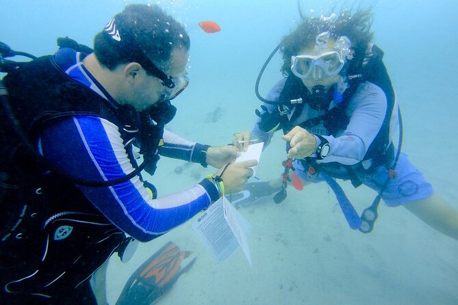 Discover Scuba Diving from a Fishing Village - What the reef experience may show you