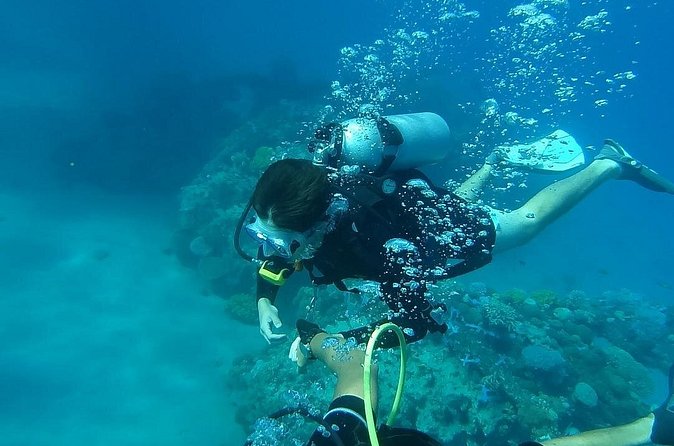 Discover Scuba Diving From Ocho Rios - Group size, instruction, and the family factor