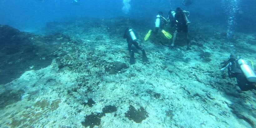 Discover Scuba Diving : Hikkaduwa : Scuba Diving - Starting at Coral Sands Hotel in Hikkaduwa