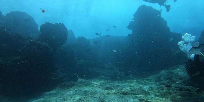 Discover Scuba Diving : Hikkaduwa : Scuba Diving - Getting Comfortable With Mask, Fins, and Regulator