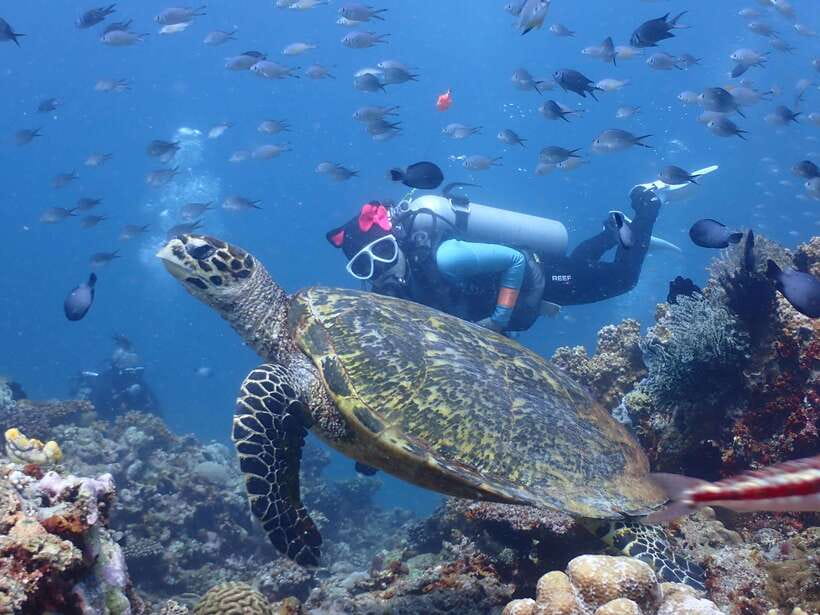 Discover Scuba Diving in Boracay - A first look beneath Boracay’s surface