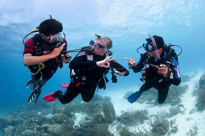 Discover Scuba Diving in Boracay with U/W Photo and Video - What this Boracay scuba experience is really for