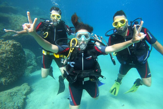 Discover scuba diving in Brindisi - Key points to know before booking