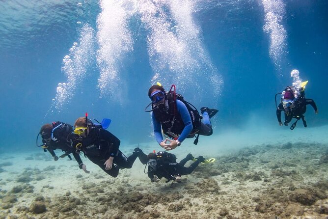 Discover scuba diving in Brindisi - Going out by boat for the underwater session