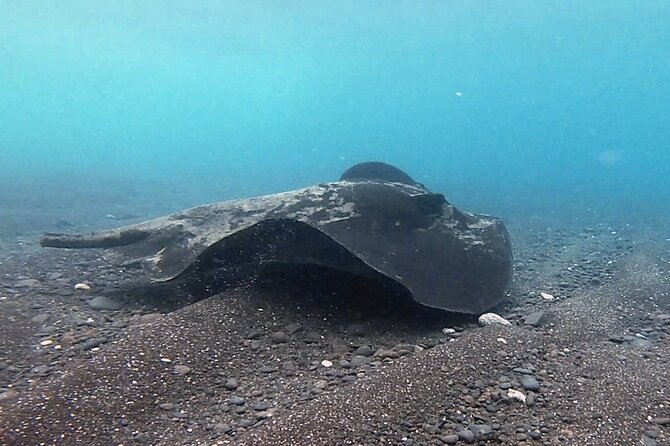 Discover Scuba Diving in Costa Calma - A gentle first step into scuba at Costa Calma