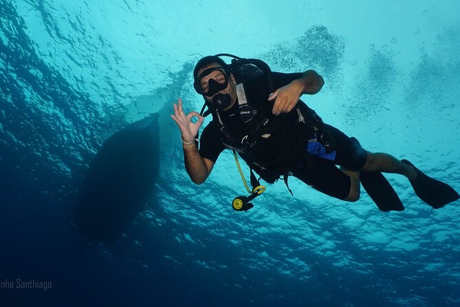 Discover Scuba Diving in Cozumel - How the Small Group Changes the Experience