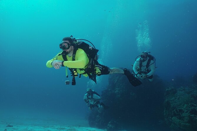 Discover Scuba Diving in Cozumel - Is $105 a Fair Price?