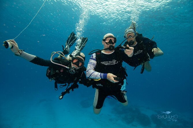 Discover Scuba Diving in Cozumel - Who Should Book This Cozumel Activity?