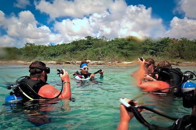 Discover Scuba Diving in Cozumel Paradise Reef - Equipment, instruction, and safety