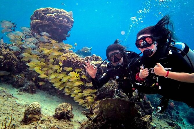 Discover Scuba Diving in Cozumel Paradise Reef - Getting there from Cozumel’s cruise piers