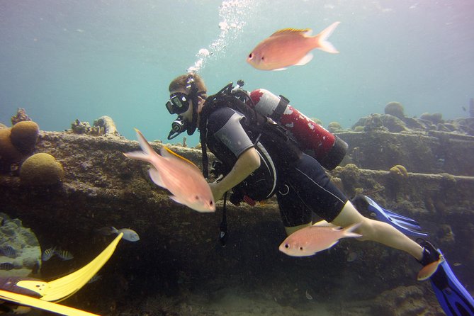 Discover Scuba Diving in Curacao - Pool practice at Livingstone Jan Thiel