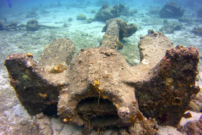 Discover Scuba Diving in Curacao - Health, flights, and cancellation details