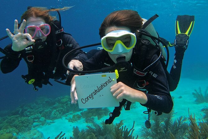 Discover Scuba Diving in Diver's Paradise! - Key points to know before booking