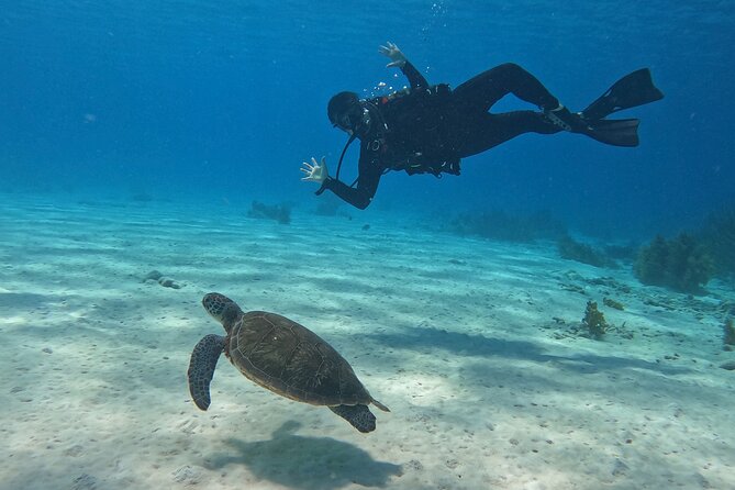 Discover Scuba Diving in Diver's Paradise! - What the $299 price includes