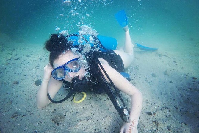 Discover Scuba Diving in Dubai - Starting at Nemo Diving Center on Palm Jumeirah
