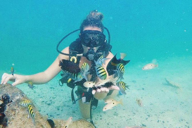 Discover Scuba Diving in Dubai - Fitness, weather, and timing considerations