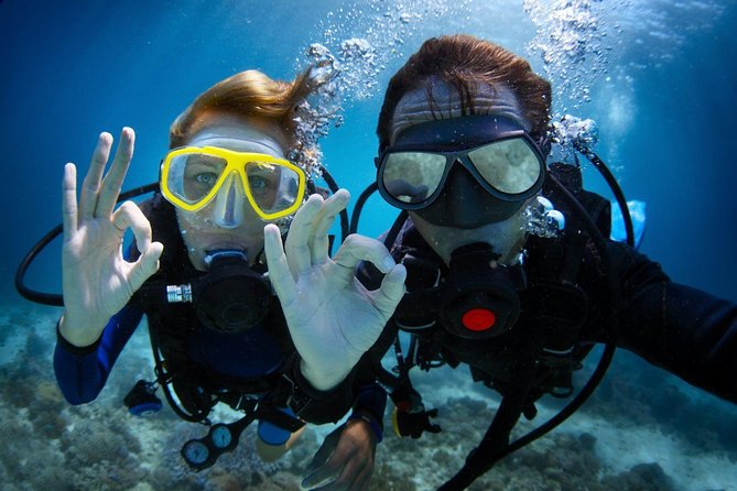Discover Scuba Diving in Dubai - The shallow-water lesson is where confidence begins