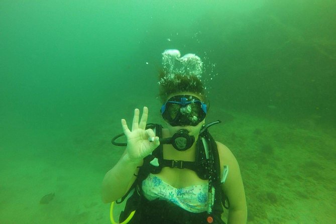Discover Scuba Diving in Fujirah Dibba - Two hours around the rock