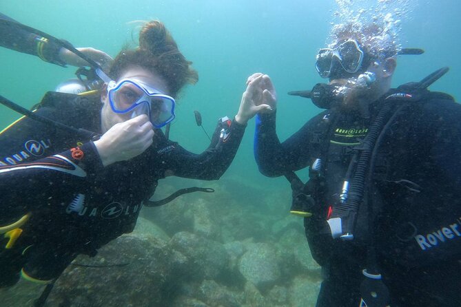 Discover Scuba Diving in Fujirah Dibba - What you can see below the surface