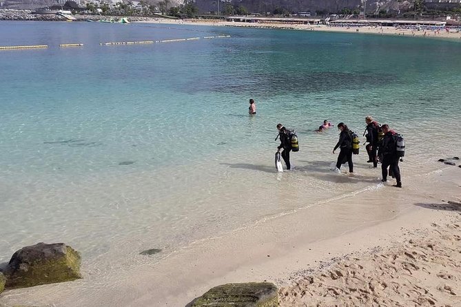 Discover Scuba diving in Gran Canaria with Hotel Pick-up - Hotel pickup and the three-hour schedule
