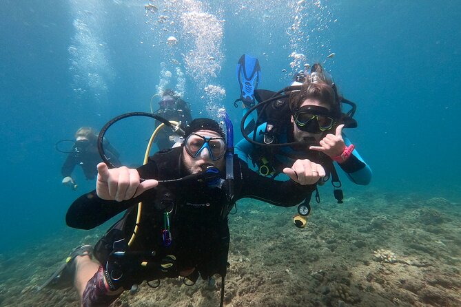 Discover Scuba Diving in Hawaii - Non certified divers! - A gentle first step into scuba