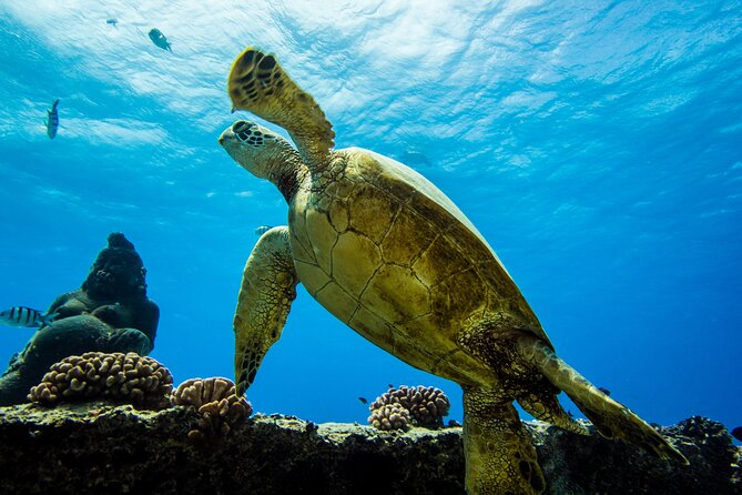 Discover Scuba Diving in Hawaii - Non certified divers! - Starting at Maunalua Bay Beach Park