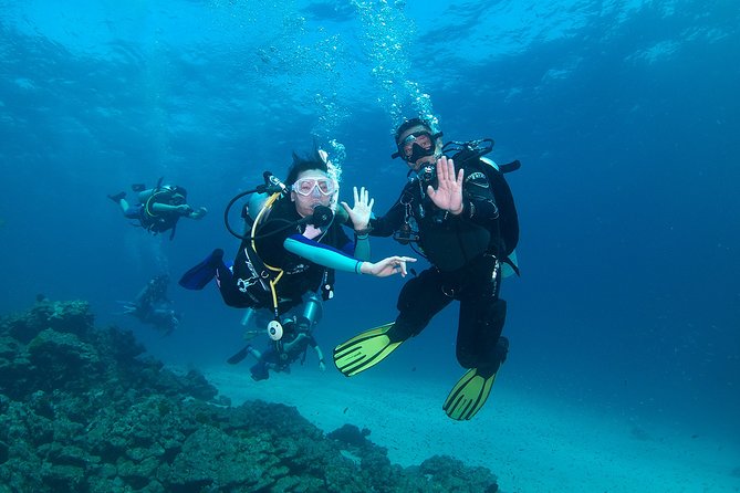 Discover Scuba Diving in Koh Lanta, Thailand - Key points to know before booking
